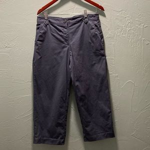 Counterparts
10 grayish/ blue capris 
Front pockets